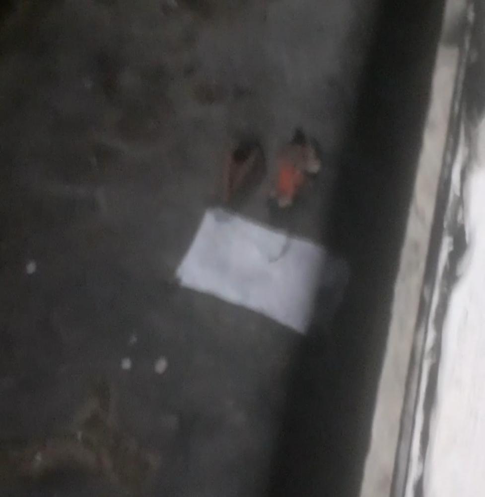 Mulher é encontrada morta nas margens do rio Marataoan em Barras. Foto: reprodução  Mulher é encontrada morta nas margens do rio Marataoan em Barras. Foto: reprodução