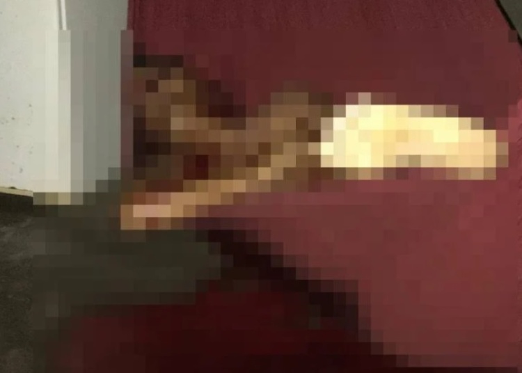 Homem é executado enquanto dormia em rede em Teresina - Foto: Reprodução/Whatsapp   Homem é executado enquanto dormia em rede em Teresina - Foto: Reprodução/Whatsapp