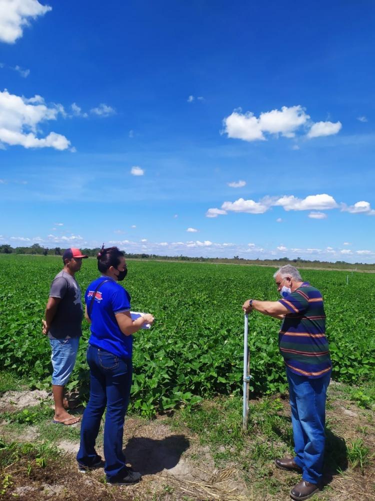 Agricultores de Barras recebem assistência técnica da prefeitura Agricultores de Barras recebem assistência técnica da prefeitura